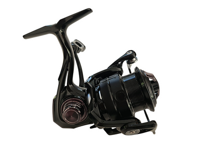 Felchen Starter-Combo